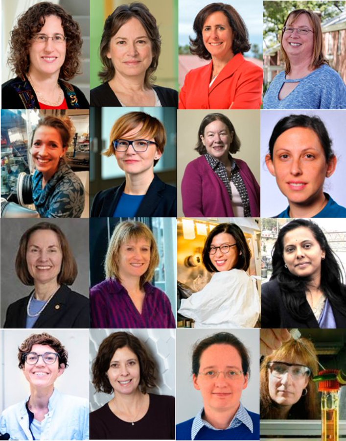 Women Scientists at the Forefront of Energy Research: A Virtual Issue